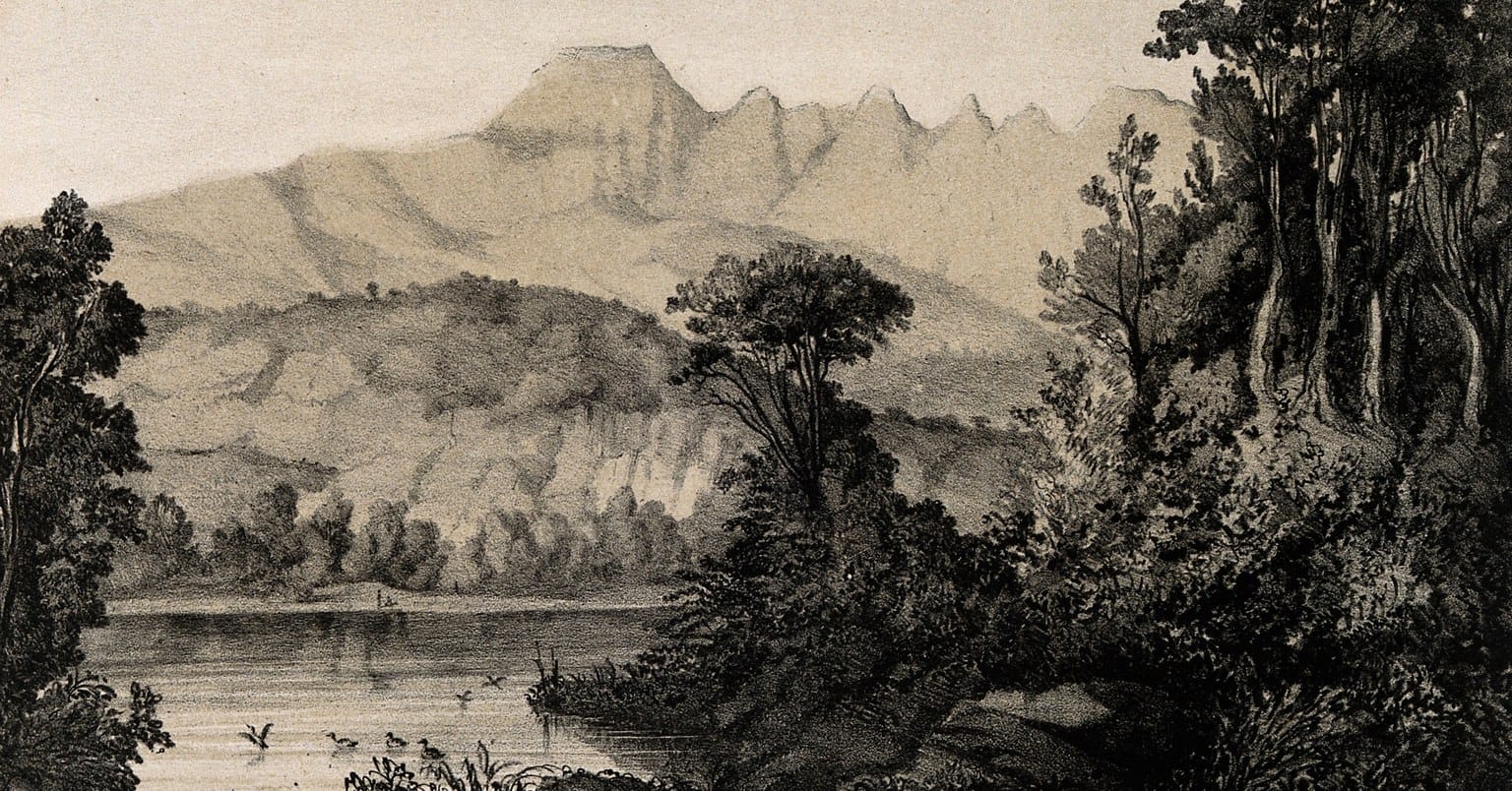 Nineteenth-century tinted lithograph of Réunion: a calm pond with a few water birds in the foreground, dense trees on the right, and the jagged peaks of the Piton des Neiges rising in pale tones above wooded hills under a soft sky.